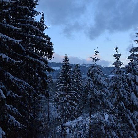 Willa Franciszek Zakopane Luaran gambar