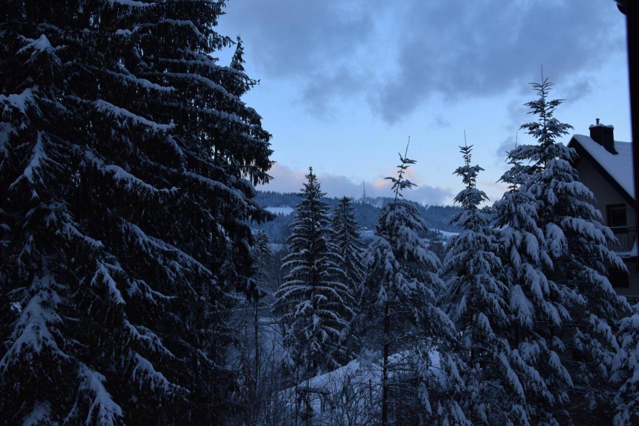 Willa Franciszek Zakopane Luaran gambar